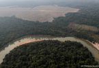 alertas desmatamento Amazônia