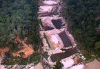 desmatamento Amazônia malária dengue