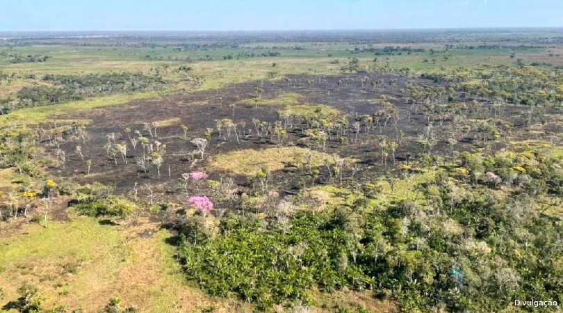 incêndio subterâneo Pantanal