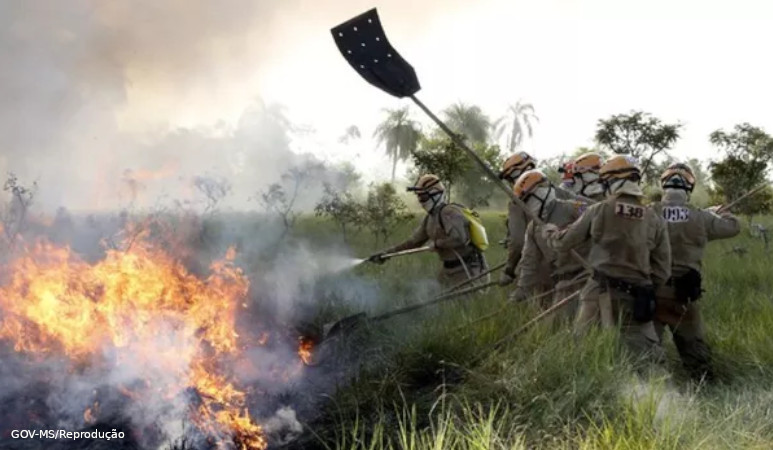 queimadas Pantanal