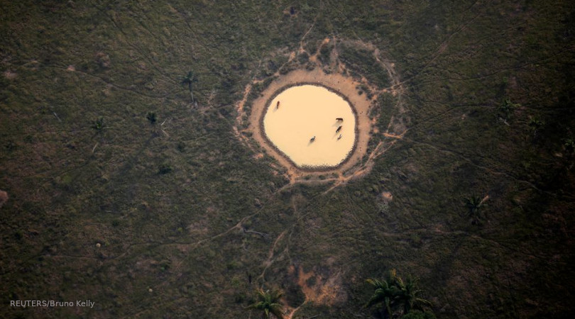 Amazônia desmatamento