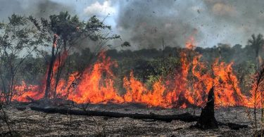 Amazônia queimadas