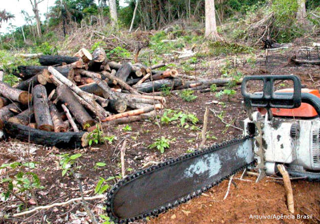 desmatamento Amazônia trabalho escravo