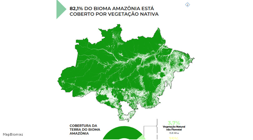 Cobertura terra bioma amazônia