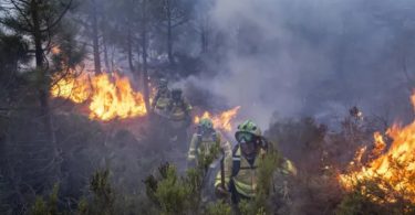 Espanha incêndios florestais
