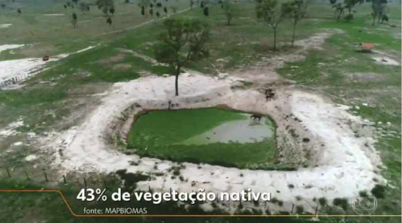 Pantanal desmatamento
