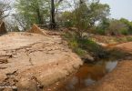 desmatamento e crise hídrica