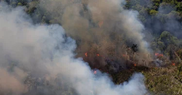 poluição por incêndios florestais