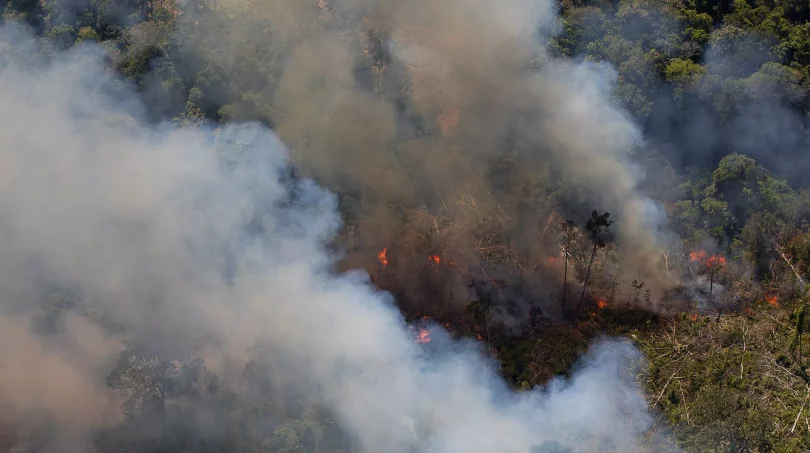 poluição por incêndios florestais