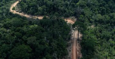 Brasil COP26 promessas vazias