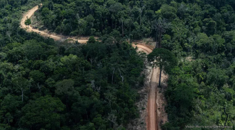 Brasil COP26 promessas vazias