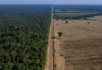 COP26 desmatamento ilegal