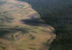 Xingu desmatamento