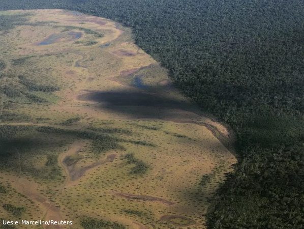 Xingu desmatamento