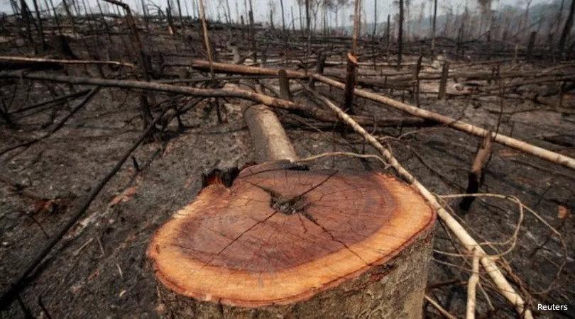 desmatamento Amazônia recorde