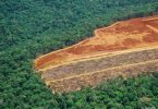Amazônia desmatamento pressão internacional