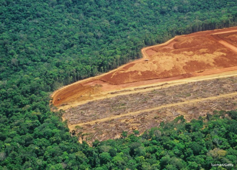 Amazônia desmatamento pressão internacional