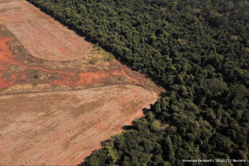 Amazônia menos 1 bilhão de árvores