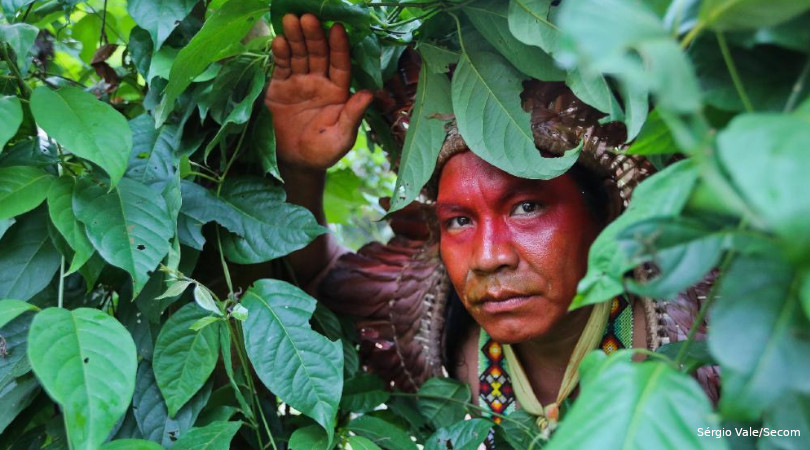 Povos Indígenas proteção florestas