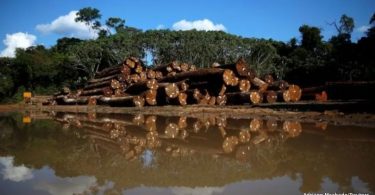 desmatamento Amazônia Imazon