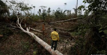 compromissos desmatamento Amazônia