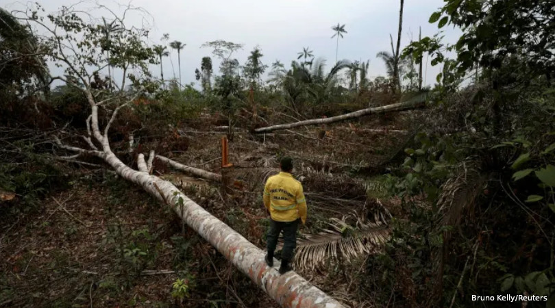 compromissos desmatamento Amazônia