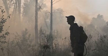 incêndios florestais emissões globais