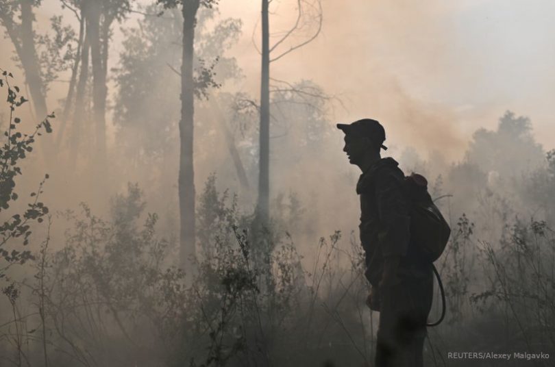incêndios florestais emissões globais