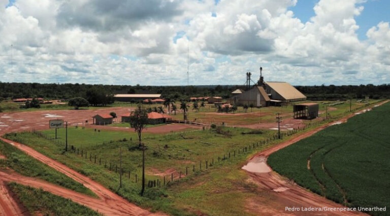 cargill soja desmatamento