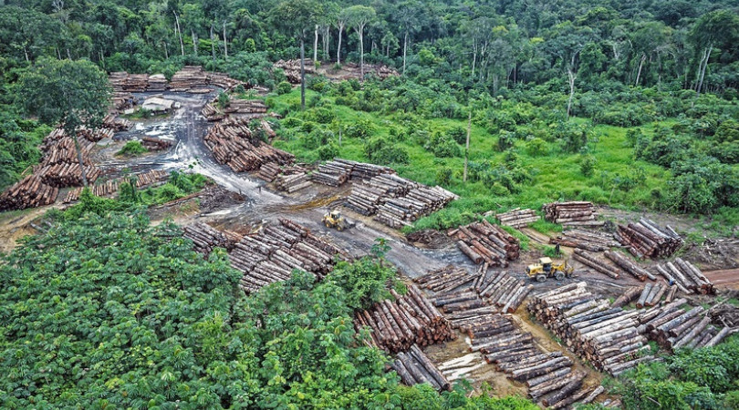 desmatamento amazônico