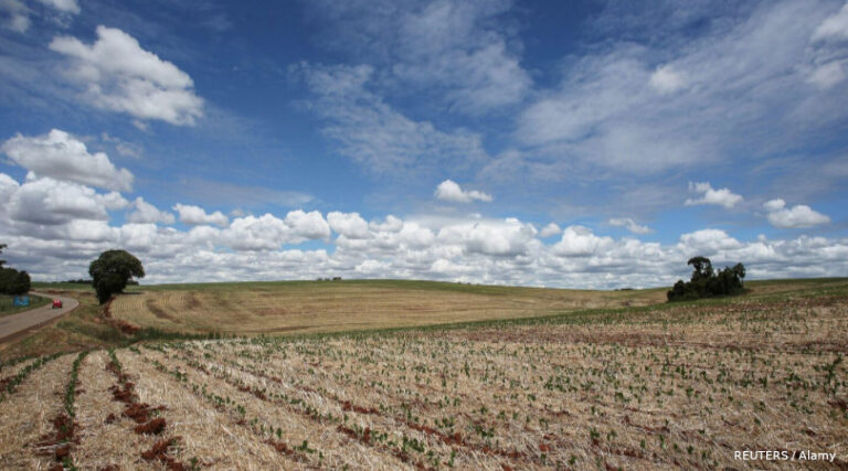emergência agrícola