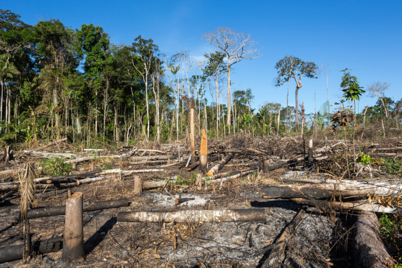 orçamento meio ambiente