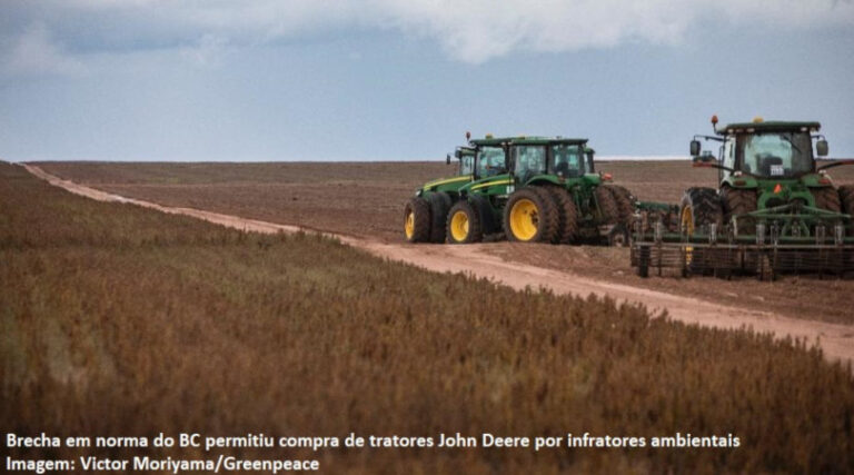BNDES bolsa desmatamento