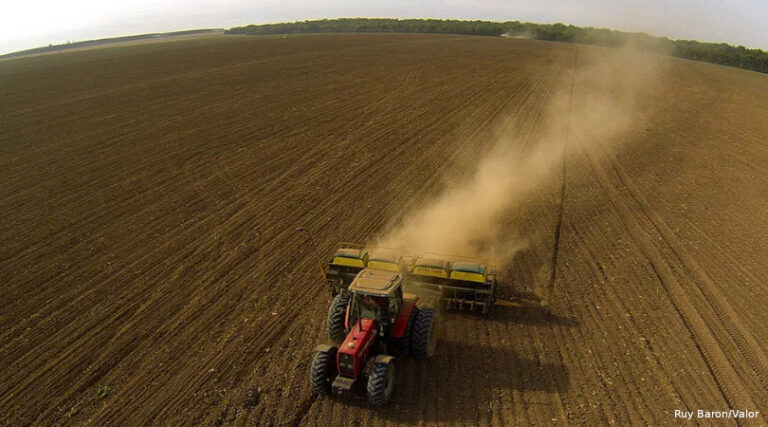 desmatamento Cerrado