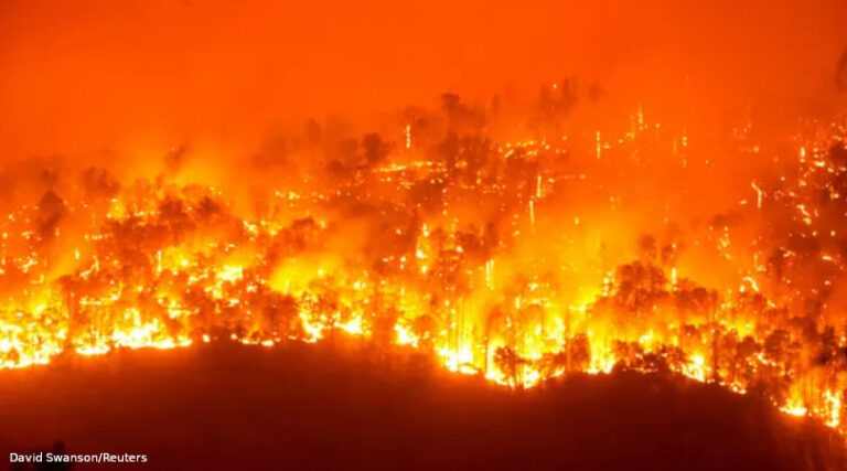 incêndios florestais