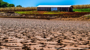 seca sul caminhoes-pipa