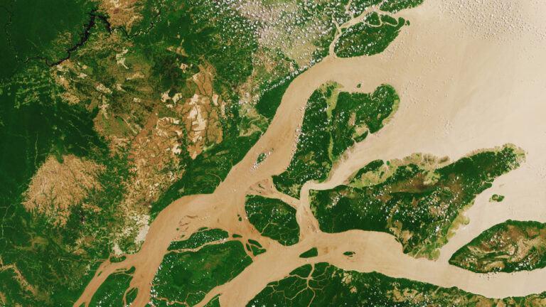 Bolsonaro negacionismo ambiental