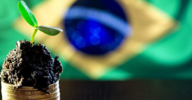 Brasil mercado de carbono