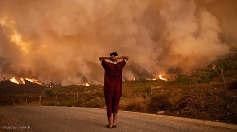 crise climática custos humanos