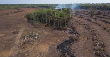 desmatamento Amazônia recorde