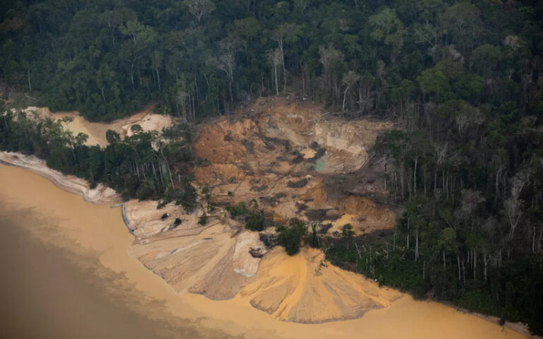 assassinatos em campo