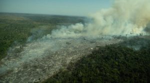 desmatamento Amazônia 1º trimestres 2022