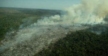 desmatamento Amazônia 1º trimestres 2022