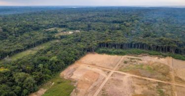 desmatamento Amazonia
