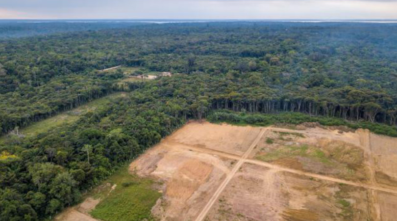 desmatamento Amazonia