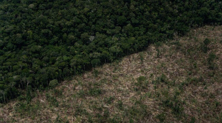 desmatamento março 2022