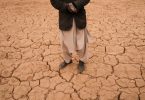 insegurança alimentar Afeganistão