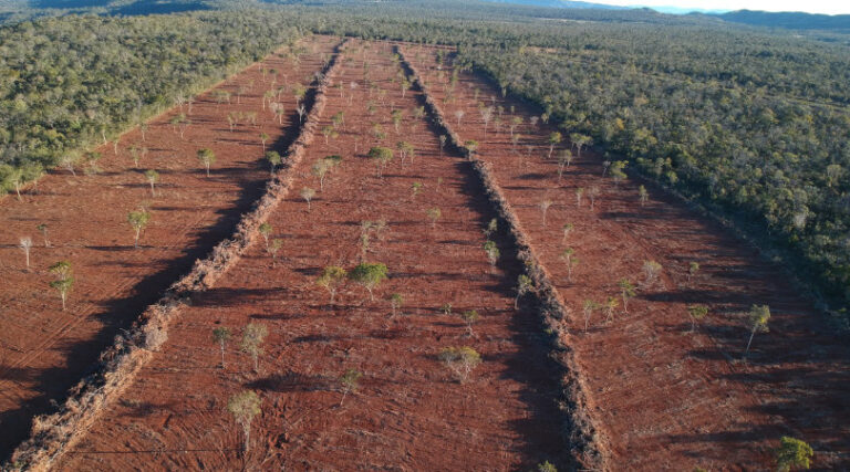 Código Florestal 10 anos
