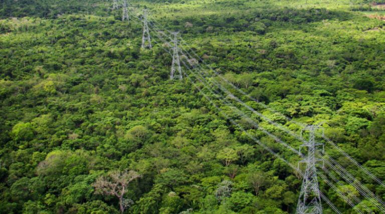 Linhão de Tucurui Waimiri-Atroari