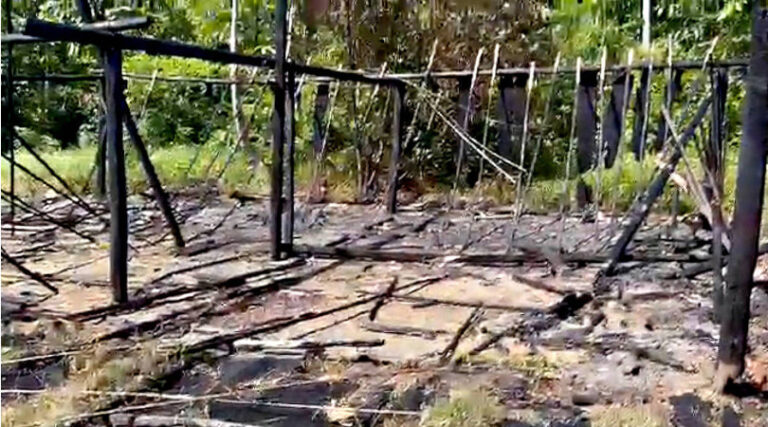 Yanomamis violência garimpeiros